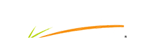 Woods